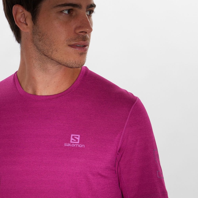 Salomon OUTLINE New トレイル ランニング Gear Tシャツ メンズ 紫 | JP-0715LDQ