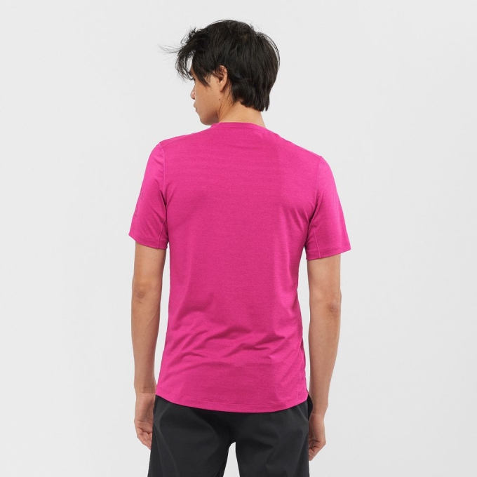 Salomon OUTLINE New トレイル ランニング Gear Tシャツ メンズ 紫 | JP-0715LDQ