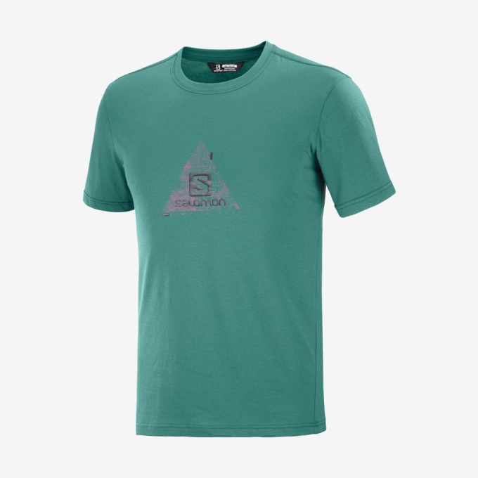Salomon OUTRACK BLEND ショート Sleeve Tシャツ メンズ 緑 | JP-1472UTF