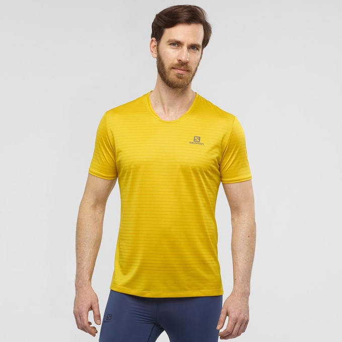 Salomon SENSE M Tシャツ メンズ 黄色 | JP-1075PFM