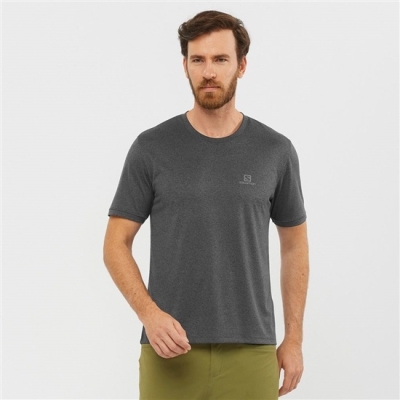 Salomon EXPLORE M ショート Sleeve Tシャツ メンズ グレー | JP-8796WEU
