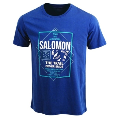 Salomon FORT SS M Tシャツ メンズ 暗 | JP-3792MAL