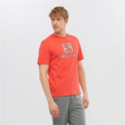 Salomon OUTLIFE LOGO ショート Sleeve Tシャツ メンズ オレンジ | JP-2540YGI