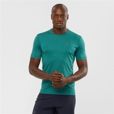 Salomon OUTLINE New トレイル ランニング Gear Tシャツ メンズ 緑 | JP-8429EOZ