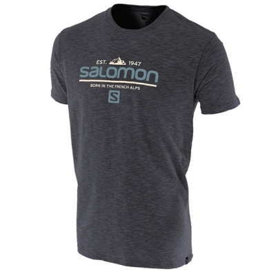 Salomon VISIONARY SS M Tシャツ メンズ グレー | JP-2547USC
