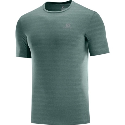 Salomon XA M Tシャツ メンズ 緑 | JP-3195FIE